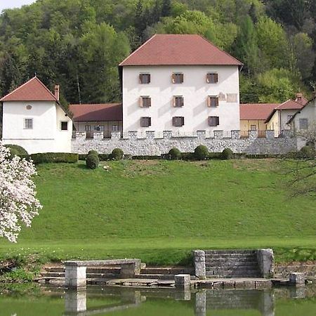 Grad Strmol Hotel Cerklje na Gorenjskem Luaran gambar